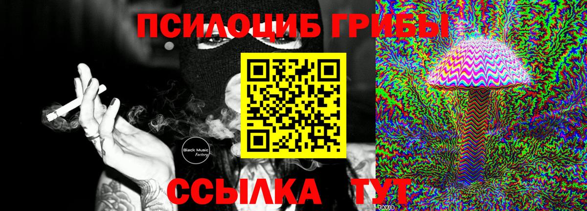 Чистополь  как найти   Вход с VPN  Псилоцибиновые грибы Magic Shrooms 